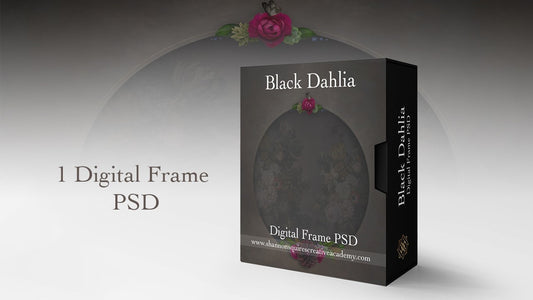 Black Dahlia Digital Frame